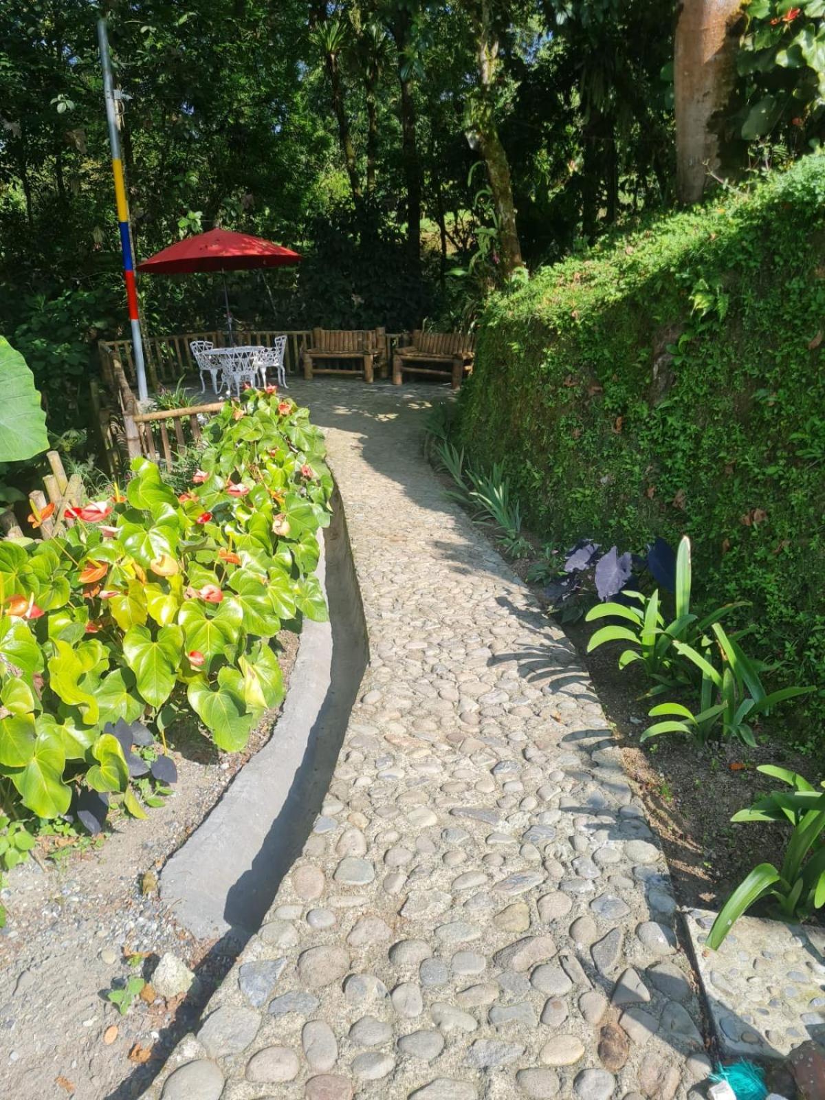 Cabanas Filadelfia Santa Rosa de Cabal Exteriör bild
